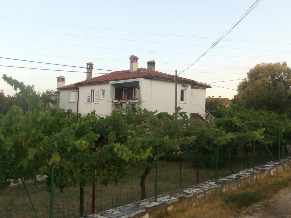 Apartment Gabi Labin  Εξωτερικό φωτογραφία